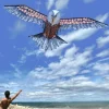 3D adelaar vlieger 186 cm | 3D Eagel Kite