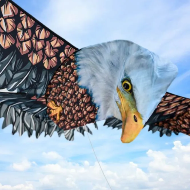 3D adelaar vlieger 186 cm | 3D Eagel Kite