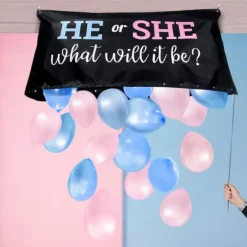 Gender Reveal Ballonnen Tas - Gender Reveal Balloon Bag Kit