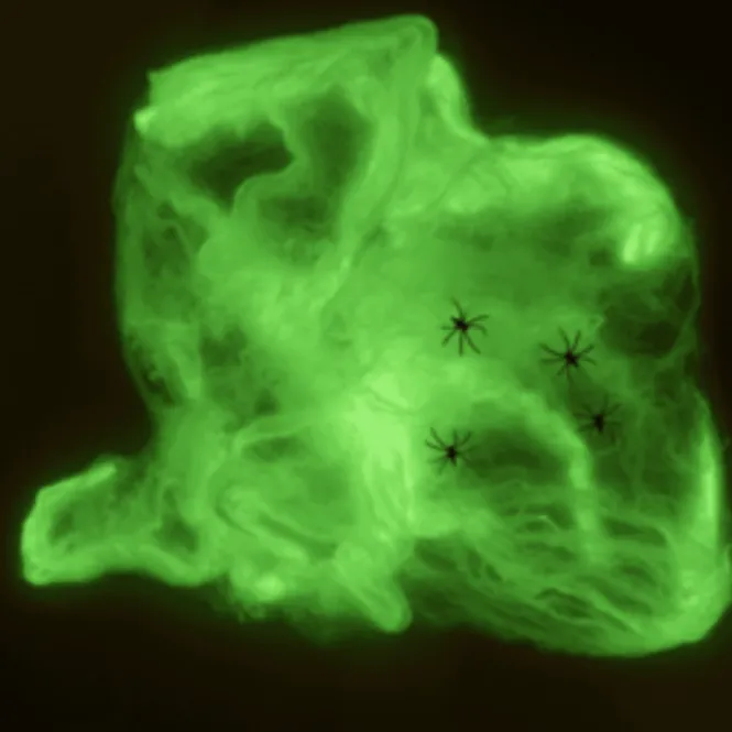 Glow Spiderweb - Glow in the Dark Spinnenweb - Inclusief 4 Spinnen