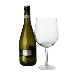 Groot Wijnglas XXL