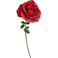 Grote Roos - XXL Rose