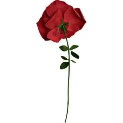 Grote Roos - XXL Rose