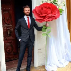 Grote Roos - XXL Rose