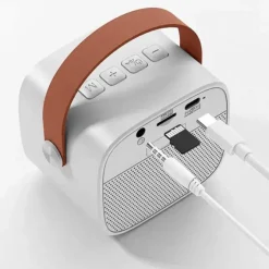 Karaoke 2 Go - 5 Stem effecten - 6W Speaker - 2 Microfoons