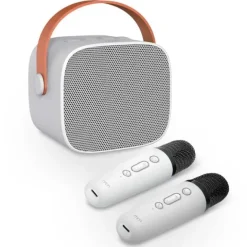 Karaoke 2 Go - 5 Stem effecten - 6W Speaker - 2 Microfoons