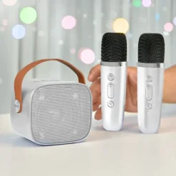 Karaoke 2 Go - 5 Stem effecten - 6W Speaker - 2 Microfoons