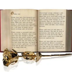 24K Golden Rose - Gouden Roos Met Luxe Cadeauverpakking