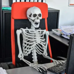 Life Size Skeleton - 170 cm - Human Size - Halloween Skelet