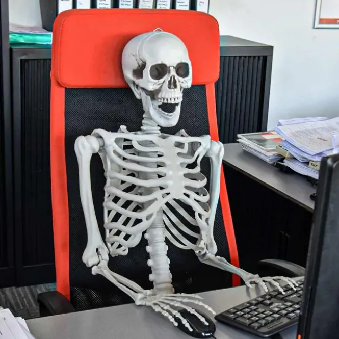 Life Size Skeleton - 170 cm - Human Size - Halloween Skelet