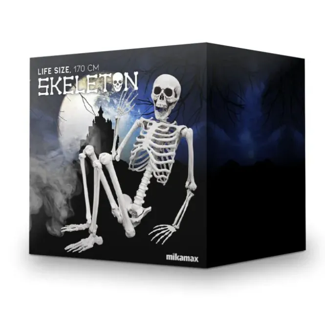 Life Size Skeleton - 170 cm - Human Size - Halloween Skelet