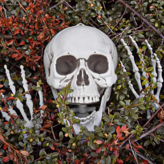 Life Size Skeleton - 170 cm - Human Size - Halloween Skelet