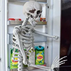 Life Size Skeleton - 170 cm - Human Size - Halloween Skelet