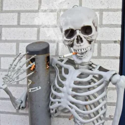 Life Size Skeleton - 170 cm - Human Size - Halloween Skelet