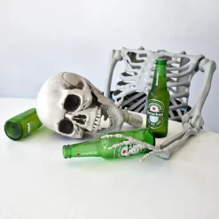 Life Size Skeleton - 170 cm - Human Size - Halloween Skelet