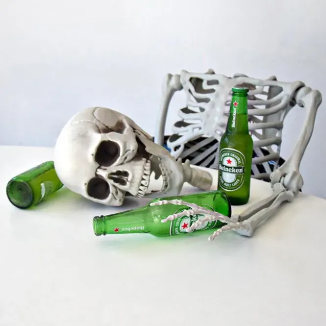 Life Size Skeleton - 170 cm - Human Size - Halloween Skelet