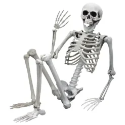 Life Size Skeleton - 170 cm - Human Size - Halloween Skelet