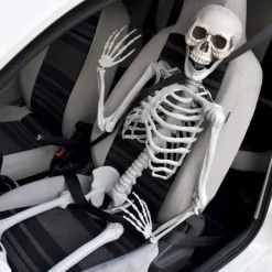 Life Size Skeleton - 170 cm - Human Size - Halloween Skelet