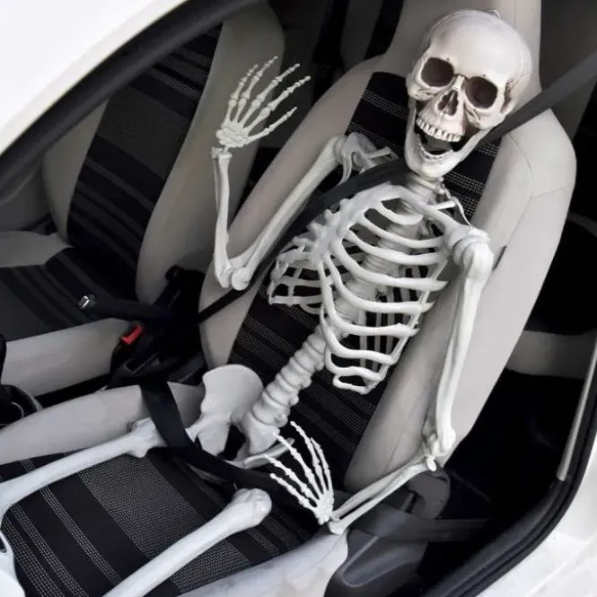 Life Size Skeleton - 170 cm - Human Size - Halloween Skelet