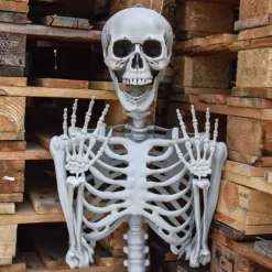 Life Size Skeleton - 170 cm - Human Size - Halloween Skelet