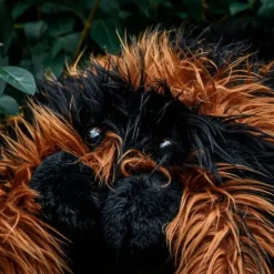 Reuze Tarantula Knuffel 85 cm - Grote Zwarte Pluche Spin