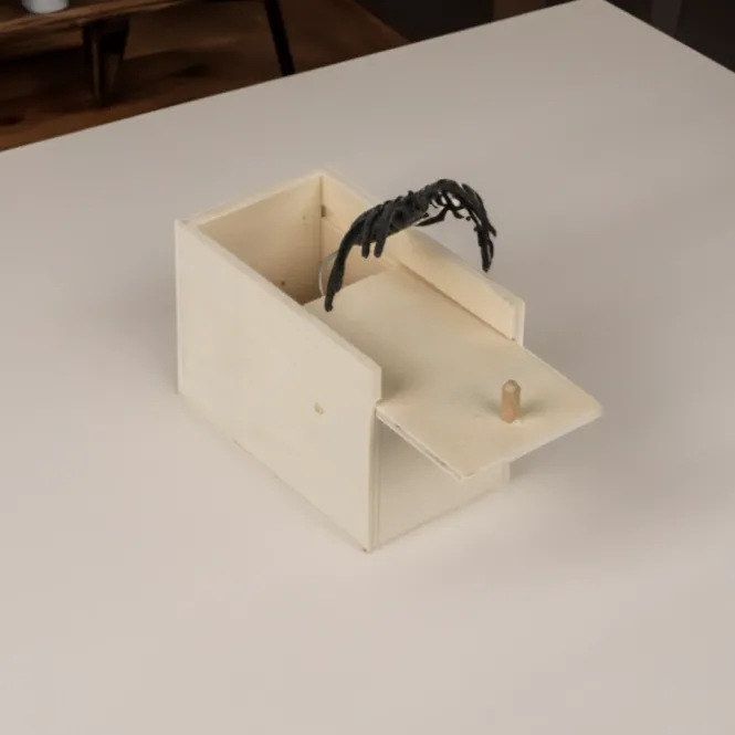 Spin Schrikdoos - Nep Spin - 6 cm Houten Prank Doos - Fopartikel