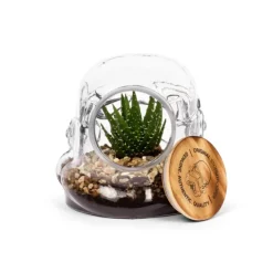 Stormtrooper Terranium