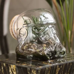 Stormtrooper Terranium