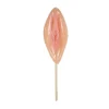 Vagina Lolly - Grappig Cadeau - Aardbeiensmaak - Lollipop