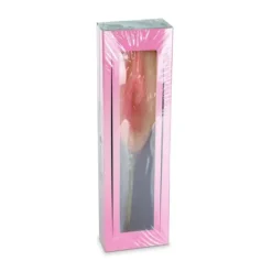 Vagina Lolly - Grappig Cadeau - Aardbeiensmaak - Lollipop