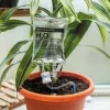 Watergeefsysteem voor Kamerplanten - Infuus voor planten