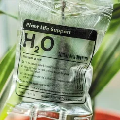 Watergeefsysteem voor Kamerplanten - Infuus voor planten